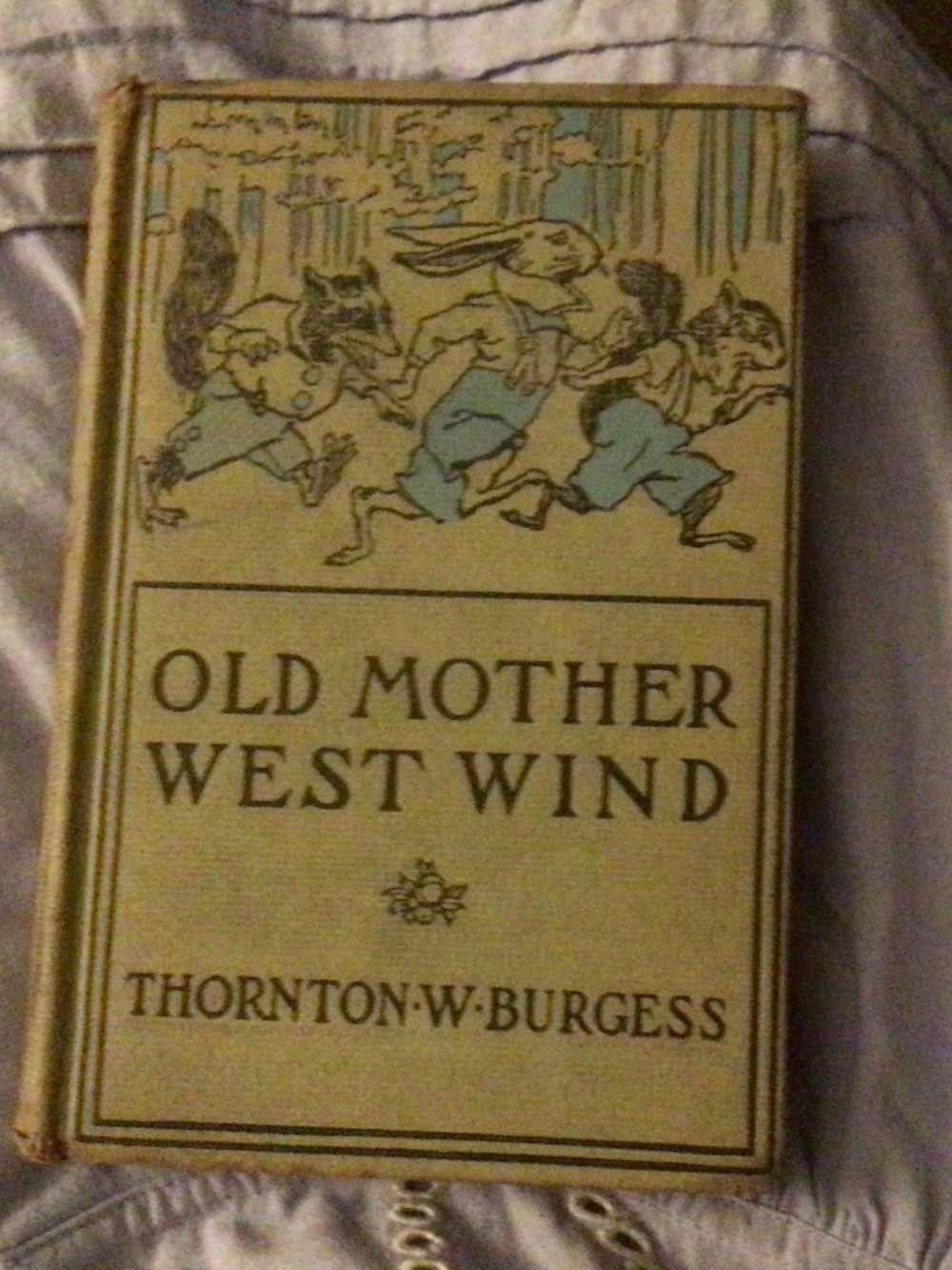 Book 1910 Thorton W Burgess. “Old Mother West Wind”